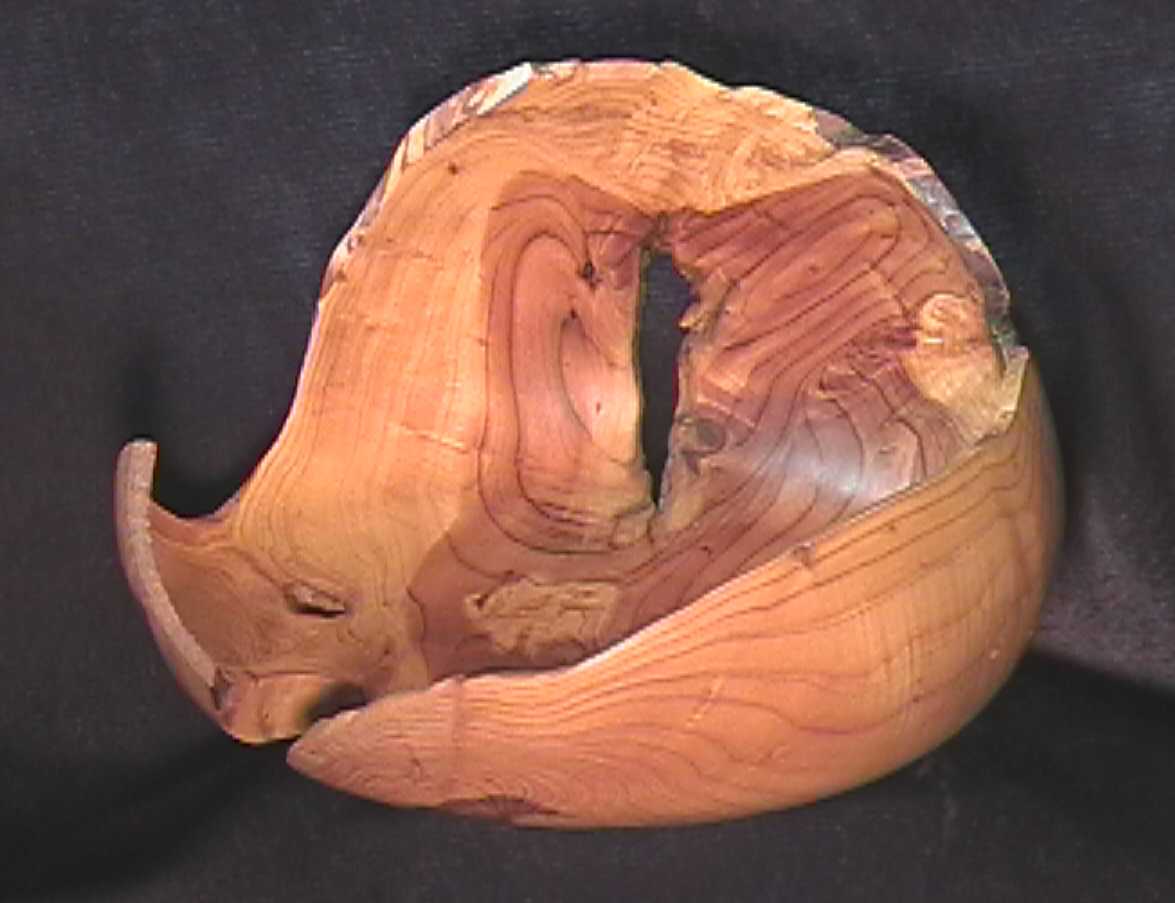Juniper natural edge bowl 3rd place WGO 2004